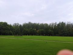 -合肥滨湖国家森林公园