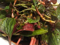 -西木兔(大圆祥店)