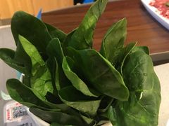 菠菜-田园肥牛府(东关街店)