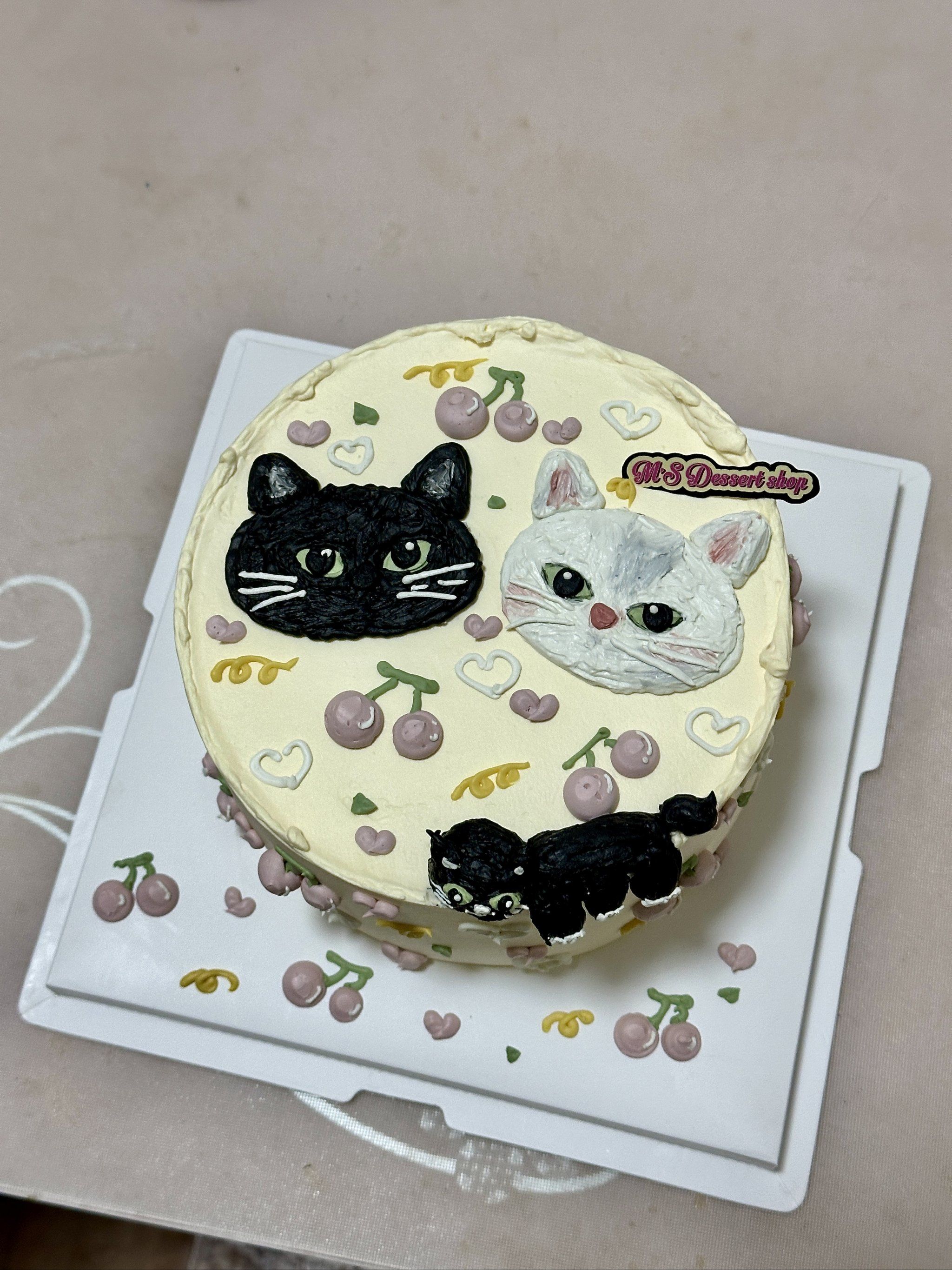 猫咪蛋糕超萌萌