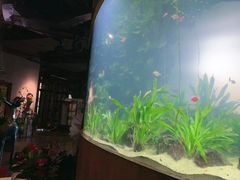 -华阳时光吧餐厅(华阳广场国际大饭店)