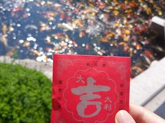 -下海庙