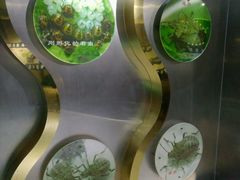 -上海昆虫博物馆