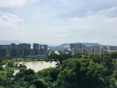 -飞凤山奥体公园