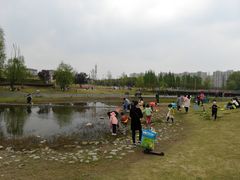 -两河城市森林公园