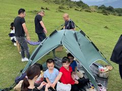 -大姆山草场