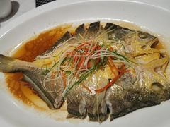 清蒸东海大黄鱼-金汤宴餐厅·粤菜(德云社店)