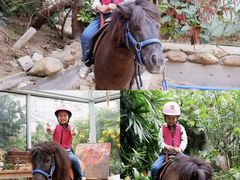 -正佳雨林生态植物园