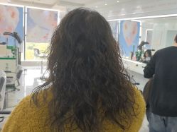 -镁连社·美联社