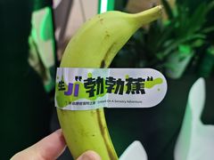 -上海跨国采购会展中心