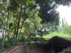 -成都市活水公园