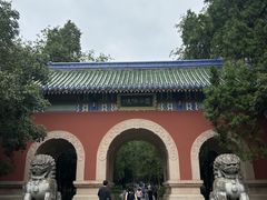 -灵谷景区