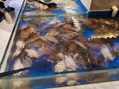 -川骄海鲜自助(河东店)