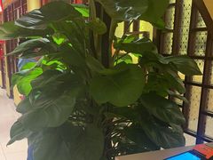 -西贝(六里桥旗舰店)