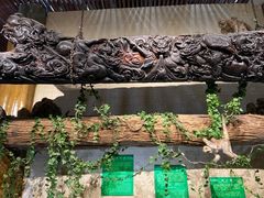 -东方山水乐园山之王国(全室内)