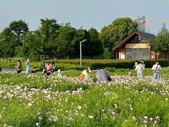 -洋湖国家湿地公园