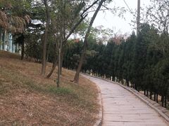 -观象山公园