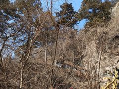 -九鼎铁刹山风景区