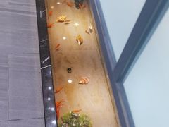 -邵汇大虾火锅(鲁迅路店)
