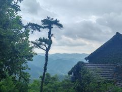 -莫干山风景区