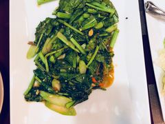 空心菜-Daddy Nimman Chiang Mai