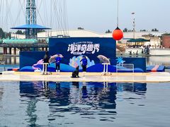 -秦皇岛乐岛海洋王国