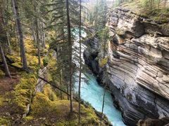 -阿萨巴斯卡瀑布观景点