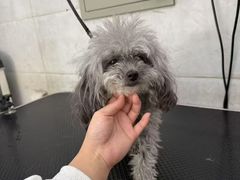-萌小它宠物健康管理中心(怡海家园店)