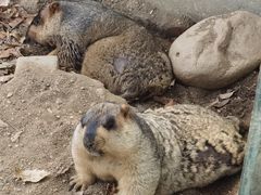 -常州淹城野生动物世界