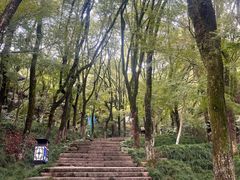 -宁波市保国寺古建筑博物馆