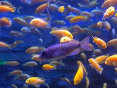 -多彩贵州城极地海洋世界