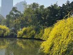 -成都南湖公园