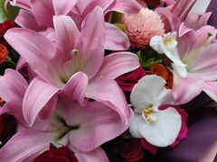 -索菲特酒店·海鲜自助 ·聚餐厅