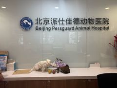 -北京派仕佳德动物医院·超导核磁·CT·神经科·骨科·内外科·急重症管理中心