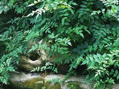 -南山植物园