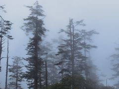 -瓦屋山景区