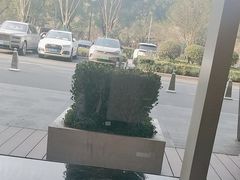-上海浦东嘉里大酒店