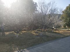 -长广溪湿地公园