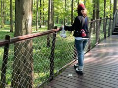 -黄海国家森林公园