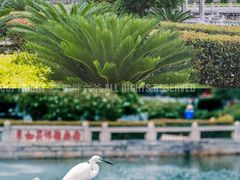 -南普陀寺
