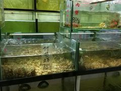 -联邦酒楼
