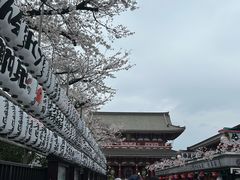 -浅草寺