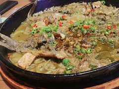 -老板恋上鱼(恒隆广场店)