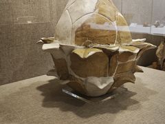 -南越王博物院(王宫展区)