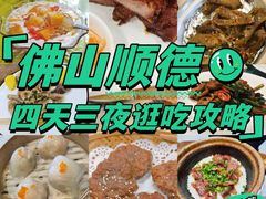 -聚福山莊·寻味顺德(北滘店)