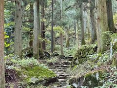 -东天目山风景区