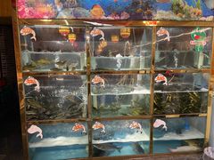 水产区-三道苗苗鱼·美蛙黄辣丁(八里店)