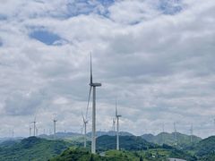 -齐岳山