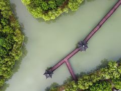 -广富林郊野公园