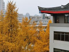 -四川大学(华西校区)